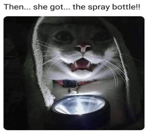 meme kucing tentang botol