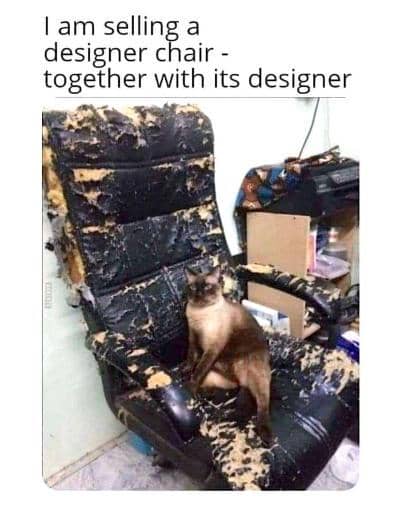 meme kucing tentang kursi
