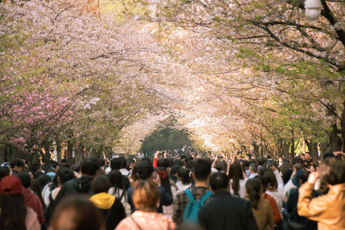 ilustrasi Golden Week