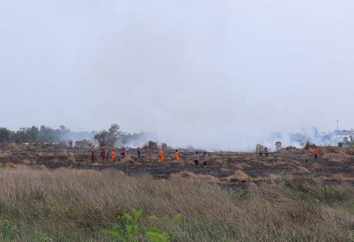 Menko Polkam Soroti Penanganan Karhutla Sumsel, Fokus Wilayah Rawan