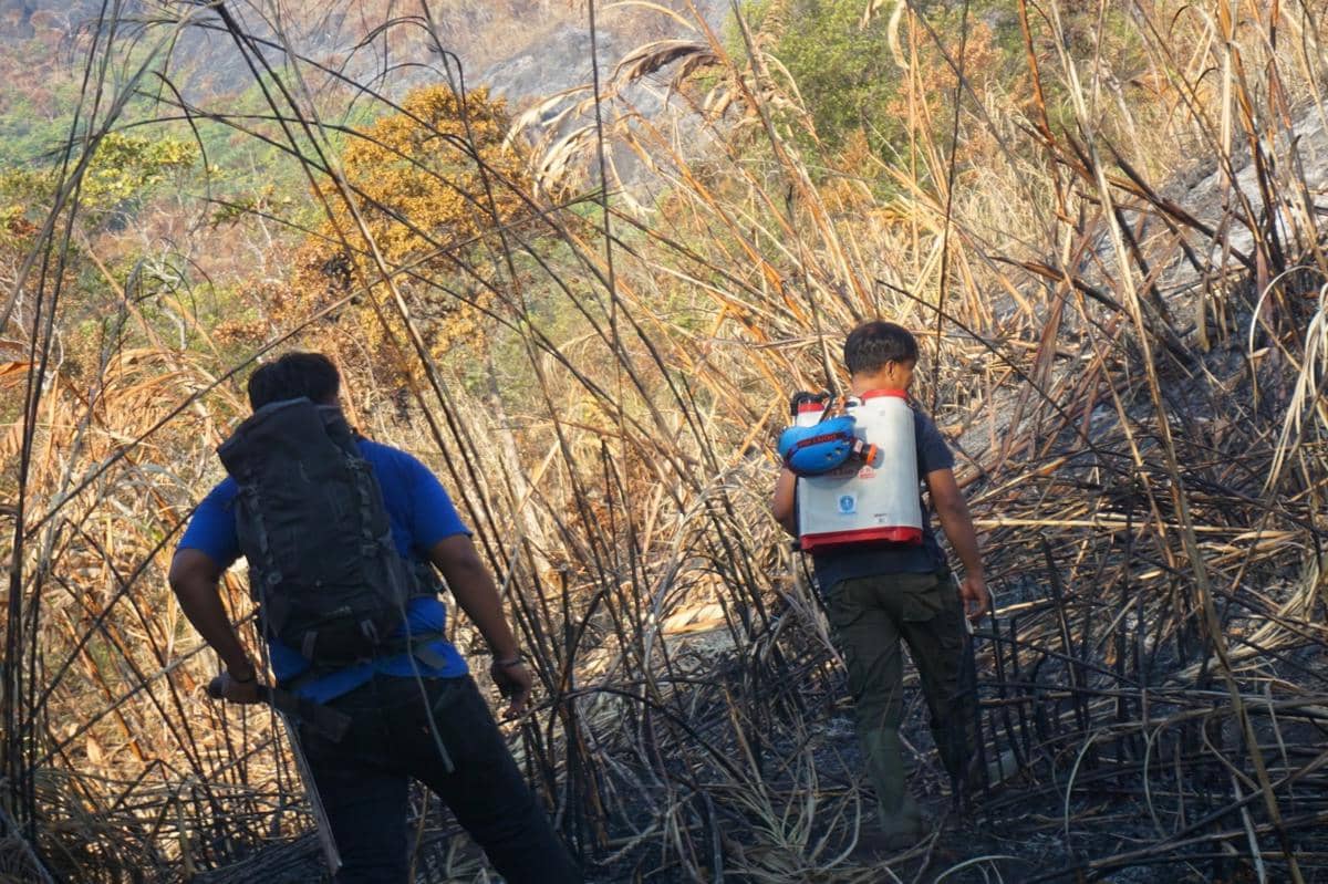 Sejumlah relawan berupaya memadamkan api yang membakar kawasan Gunung Awu di Kepulauan Sangihe, Sulawesi Utara.