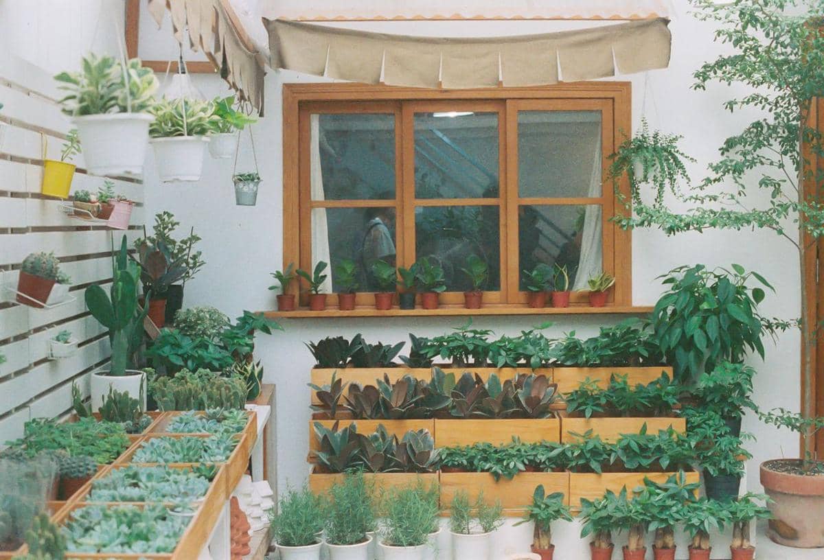 5 Tips Memulai Kebun Mini di Rumah untuk Gaya Hidup yang Berkelanjutan