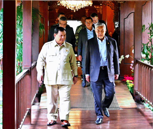 Malaysia Siap Bantu Atasi Karhutla, Dudung: Belum Dibahas Presiden