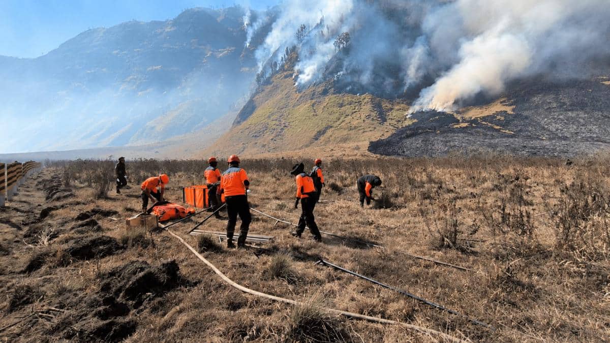 BPBD Jatim beserta relawan memadamkan karhutla Gunung Bromo