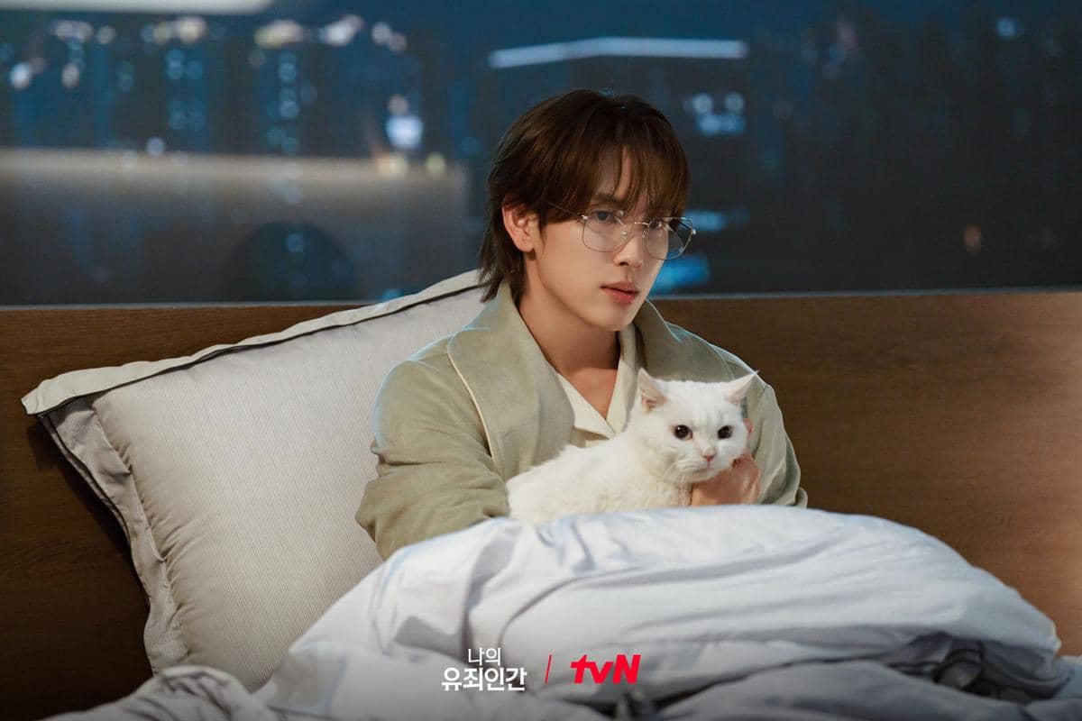 still cut drama Love in Disguise