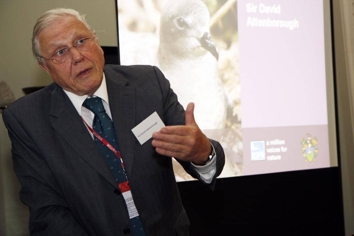 4 Prediksi Kehancuran Dunia oleh David Attenborough, Bikin Merinding