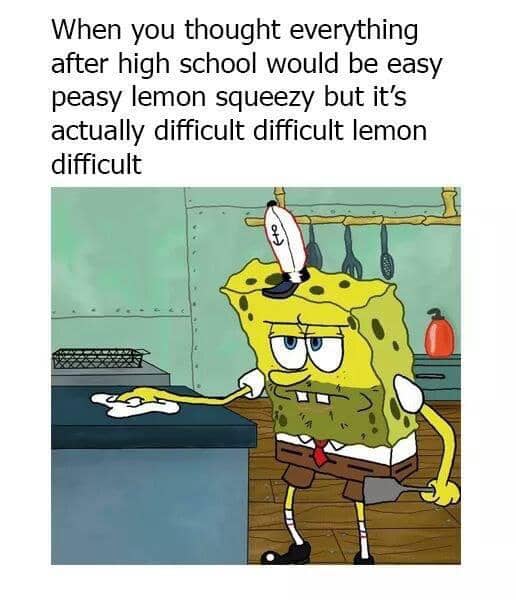 meme SpongeBob tentang tagihan