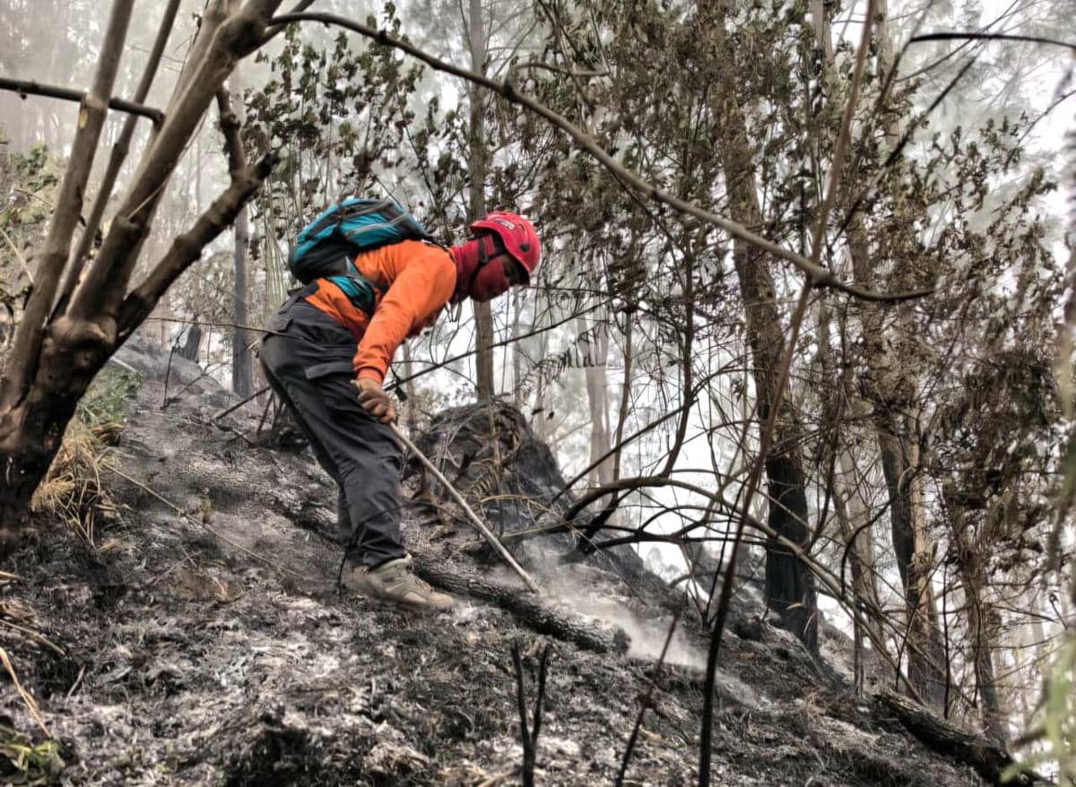 Petugas melakukan upaya pemadaman kebakaran di kawasan Gunung Buthak berdasarkan dokumentasi BPBD Jawa Timur.