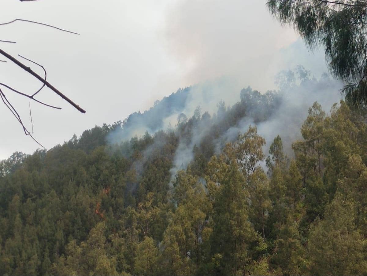 Karhutla Butak dan Kawinajang Capai 1.000 Ha,Water Bombing Diterjunkan