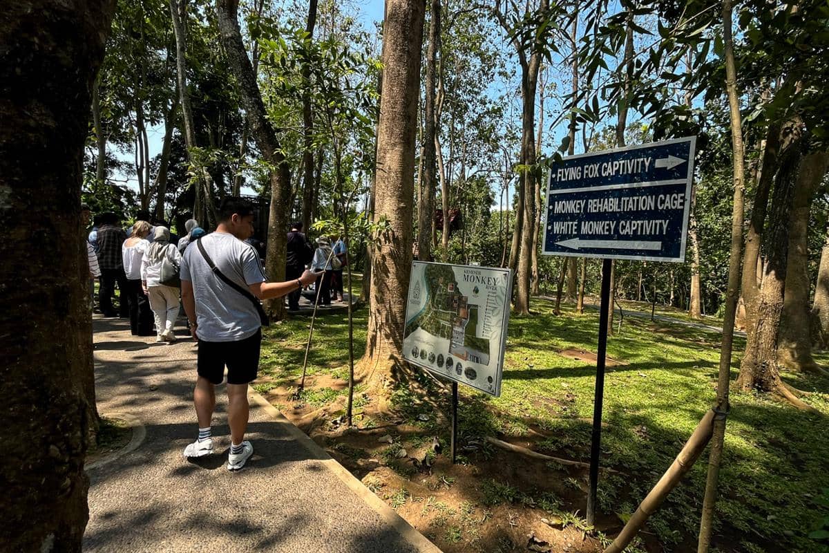 suasana di area Kemenuh Monkey River (dok.pribadi/Natalia Indah)