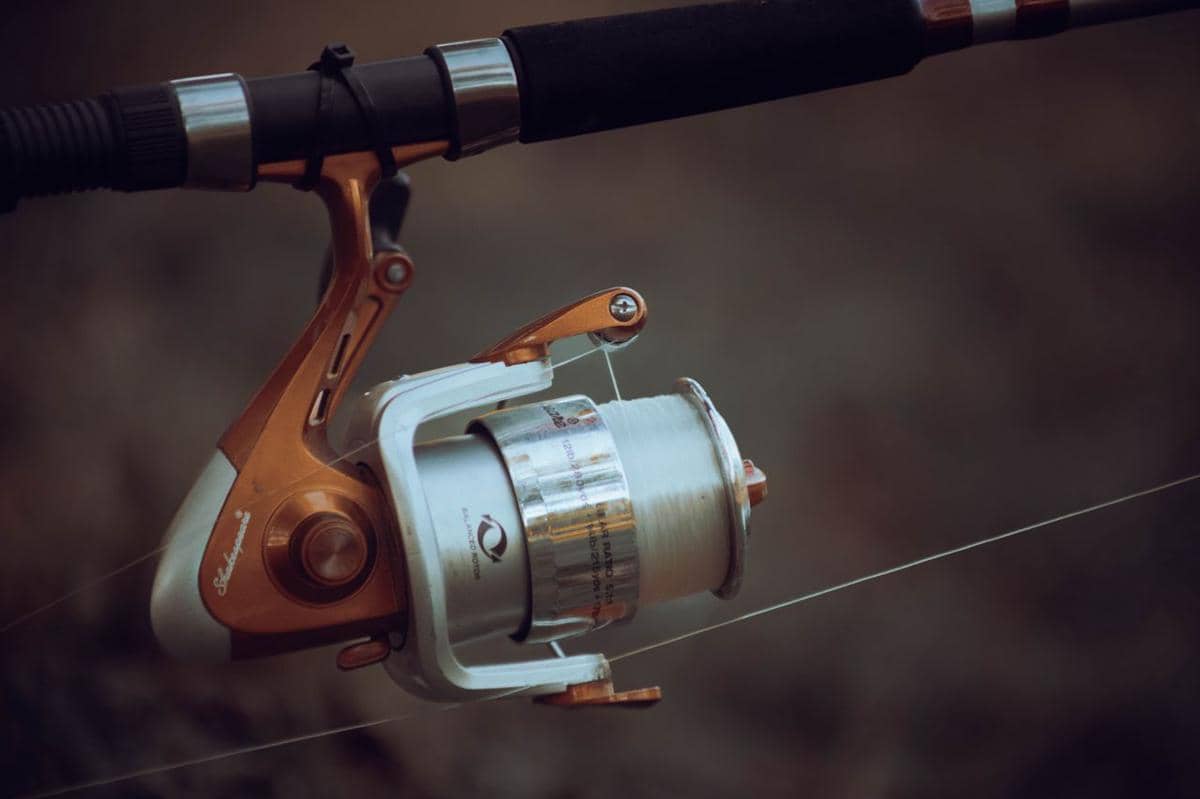 5 Perbedaan Senar PE dan Monofilament untuk Berbagai Teknik Memancing