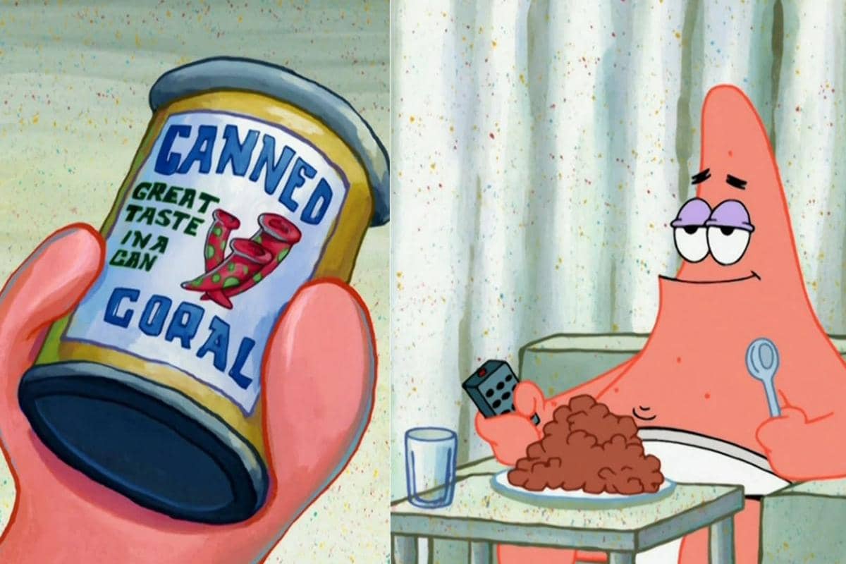 Canned Coral, produk koral instan siap makan dalam kemasan kaleng