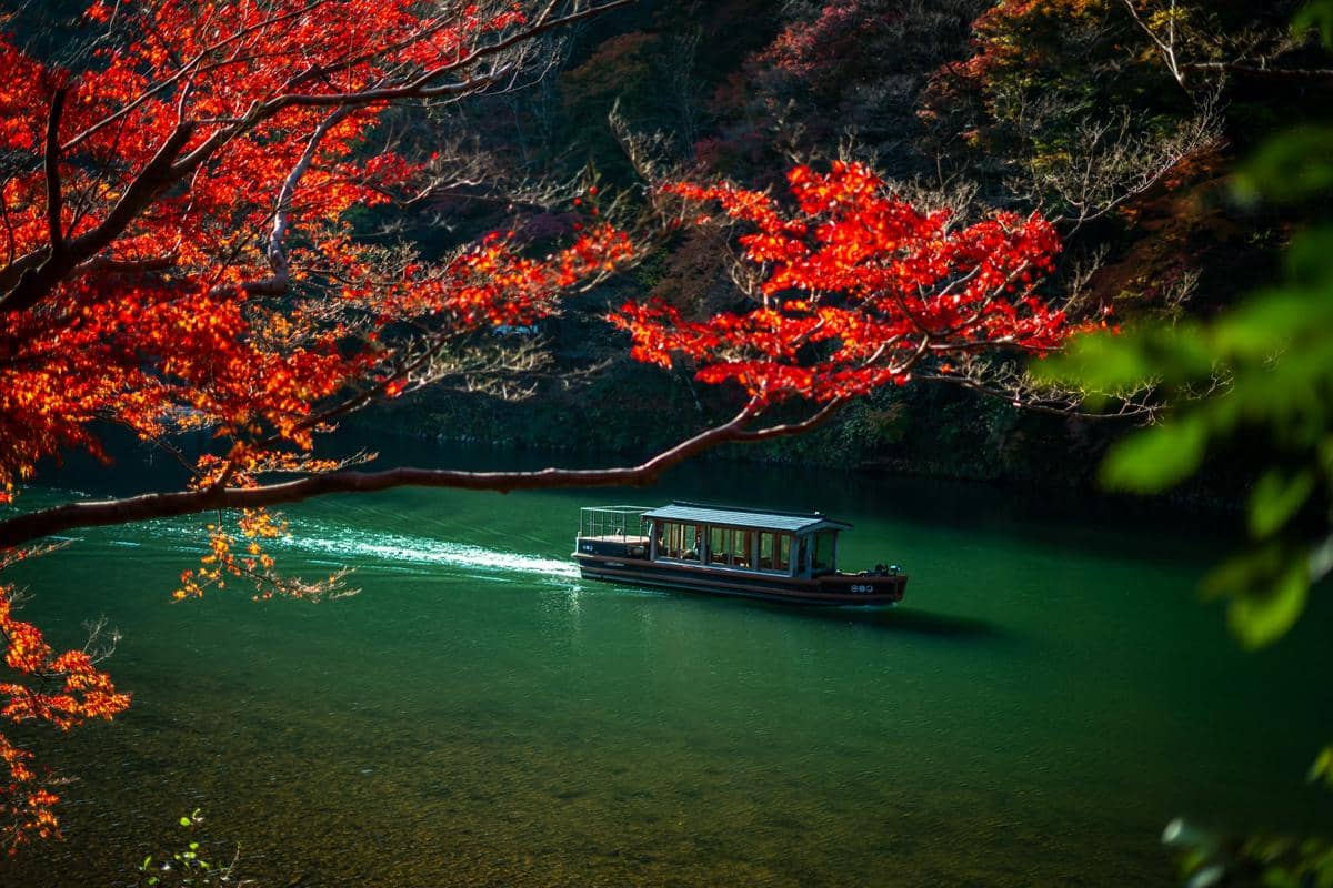 Sungai Hozugawa mengalir di antara perbukitan Arashiyama yang dipenuhi pepohonan berwarna-warni pada musim gugur.