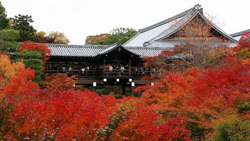 Pemandangan dedaunan musim gugur dari Jembatan Tsutenkyo di kawasan Kuil Tofukuji, Jepang.