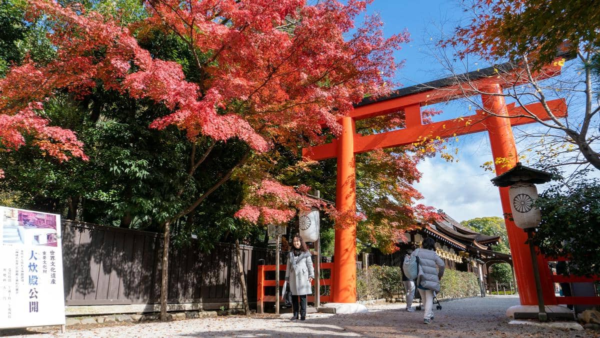 Dua orang berjalan di bawah pepohonan rimbun berdaun musim gugur di area Kuil Shimogamo, Kyoto, Jepang.