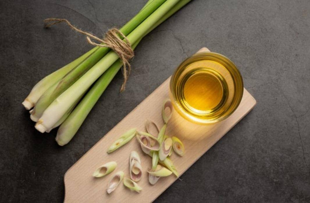 Semangkuk madu dengan batang sereh segar di atas permukaan kayu, bahan alami untuk minuman dan masakan.