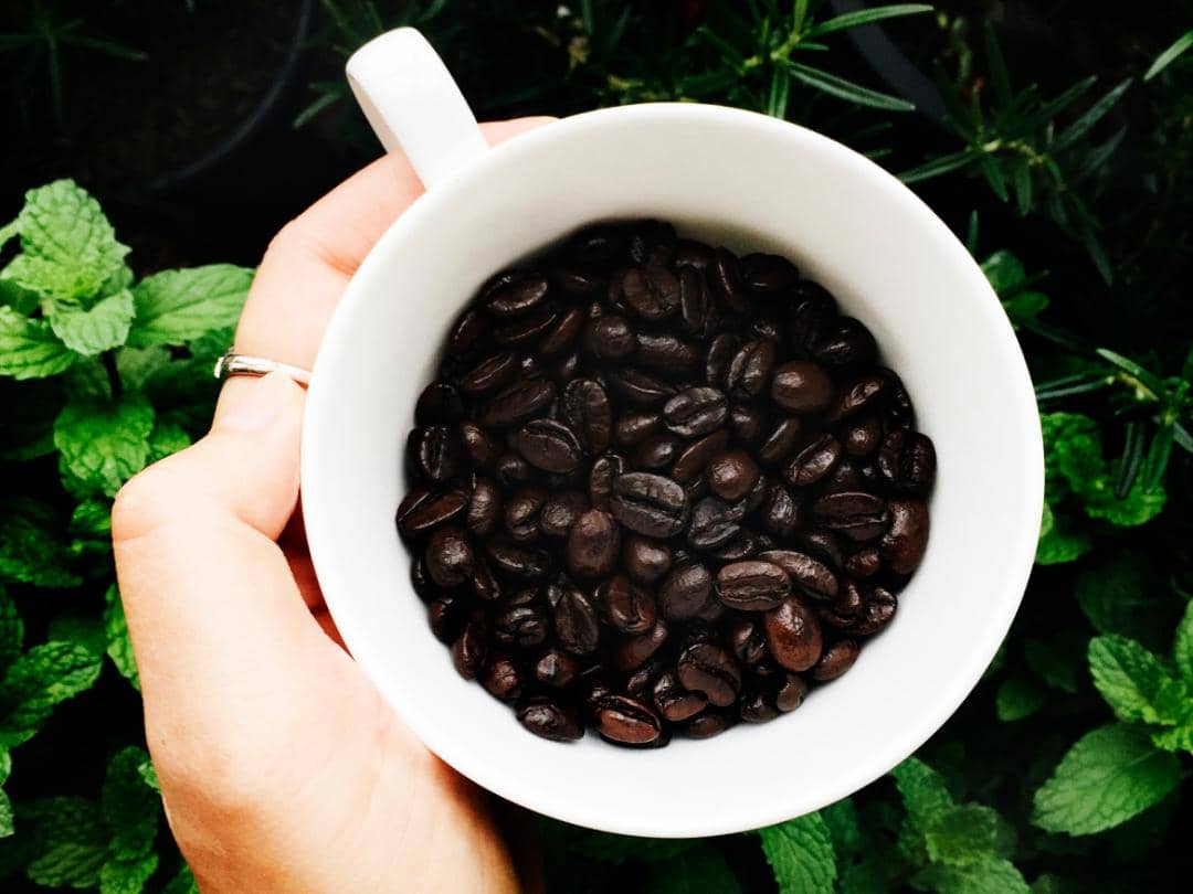 ilustrasi dark woods coffee