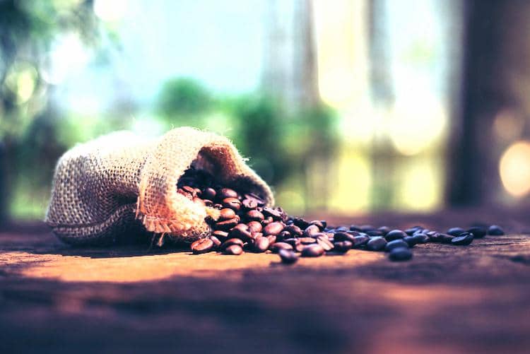 ilustrasi aida battle kilimanjaro coffee