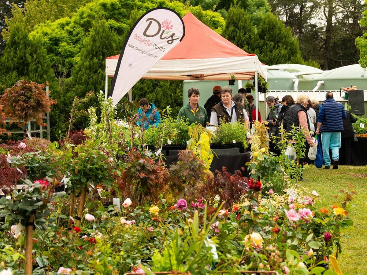 Potret acara Yarra Valley Spring Plant Fair and Garden Expo di Australia