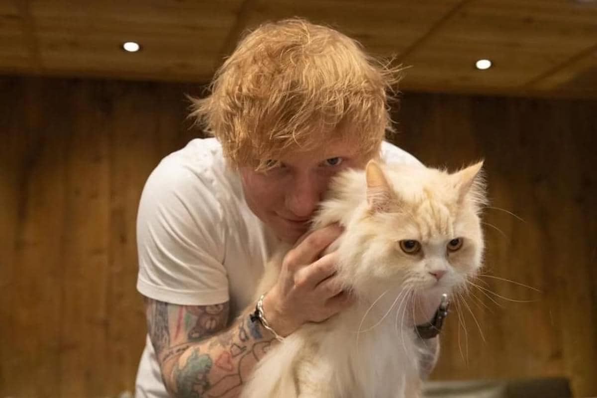 Konser Pertama usai Kontroversi, Ed Sheeran Ungkap Pandangannya soal Gaza