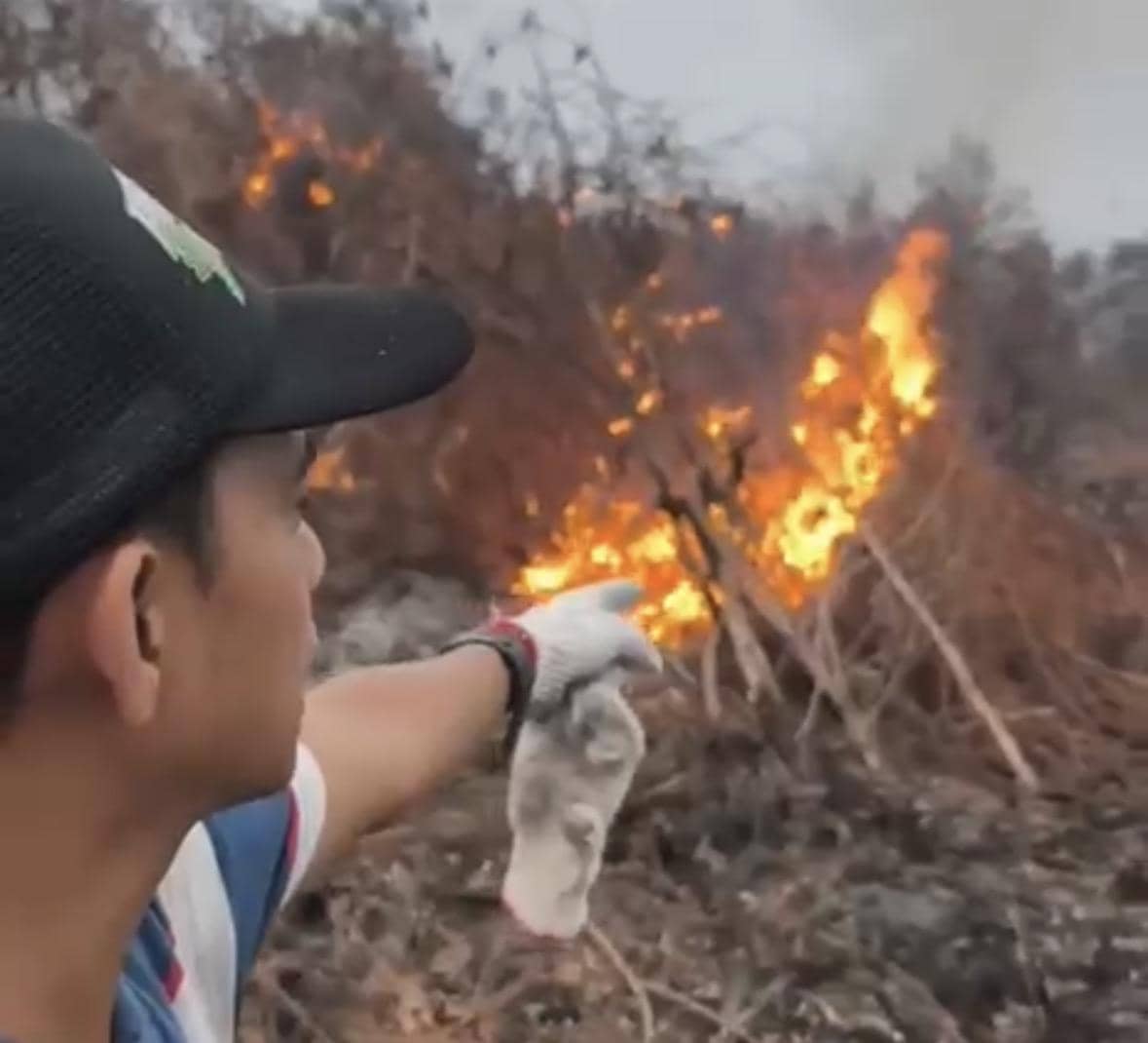 Anggota DPRD Mempawah Diduga Bakar Lahan, HMI Minta Polisi Periksa