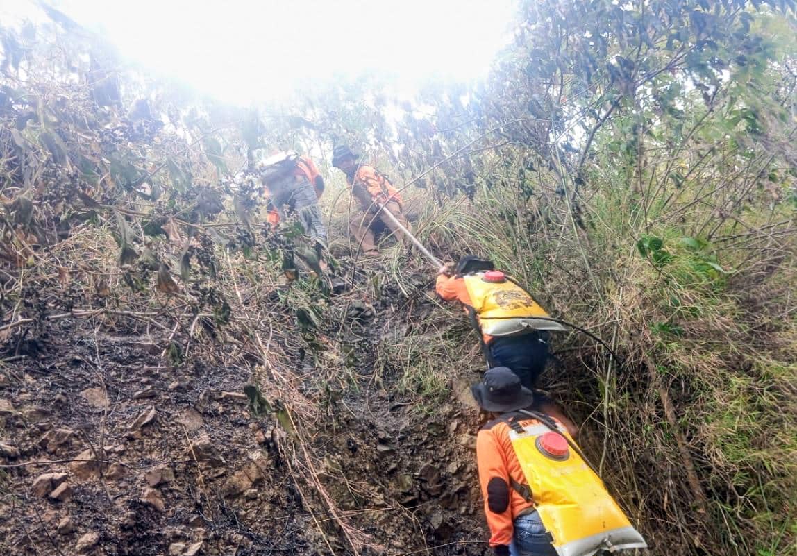 Sinergi Inalum dan Warga Cegah Karhutla, Menjaga Napas Konservasi Danau Toba