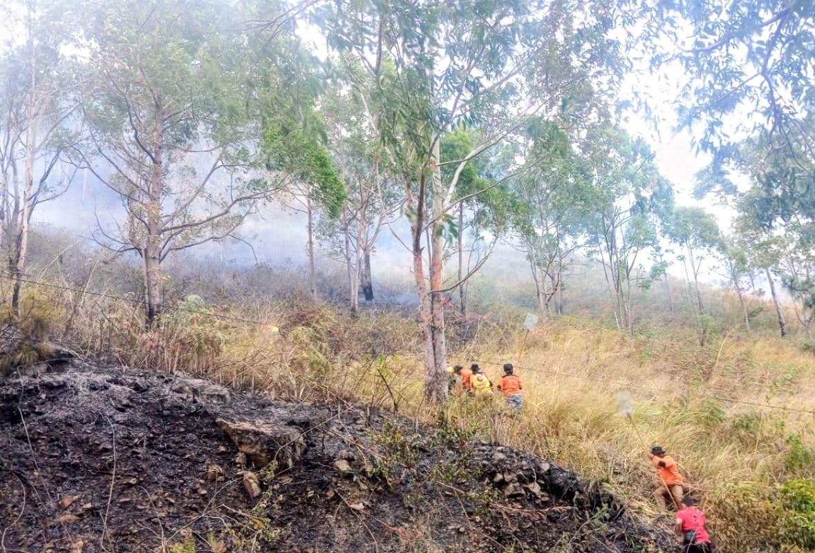 Anggota Masyarakat Peduli Api Inalum memadamkan kobaran api di kawasan Sibolangit menggunakan peralatan pemadaman.
