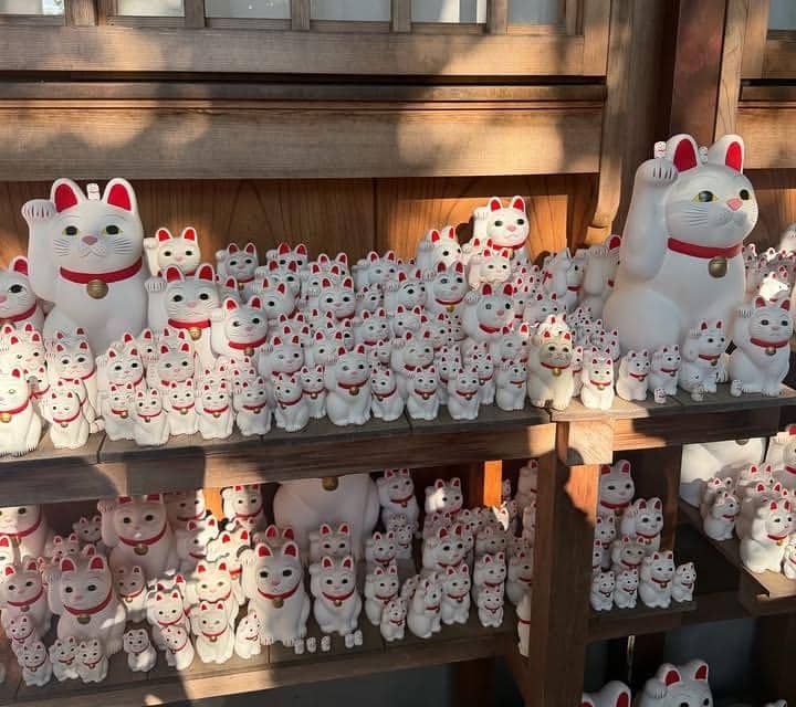 Livy Renata Jalan-jalan ke Gotokuji Temple, Jepang