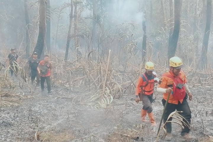 Hujan Padamkan Kebakaran Gunung Lawu, 30,8 Hektare Hutan Hangus