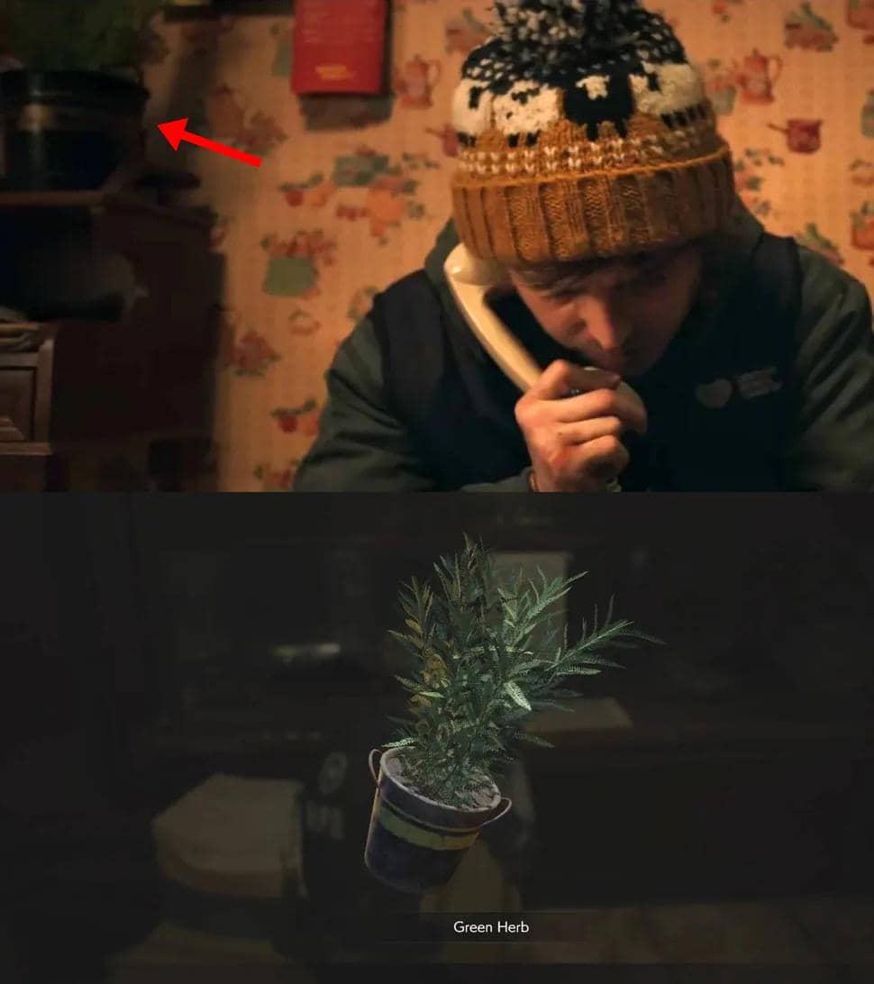Perbandingan Green Herb dalam film Resident Evil produksi Sony Pictures dan game Resident Evil dari Capcom.