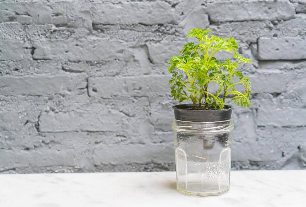 Ilustrasi sistem self watering pada pot tanaman untuk menjaga kelembapan tanah dan memenuhi kebutuhan air otomatis.