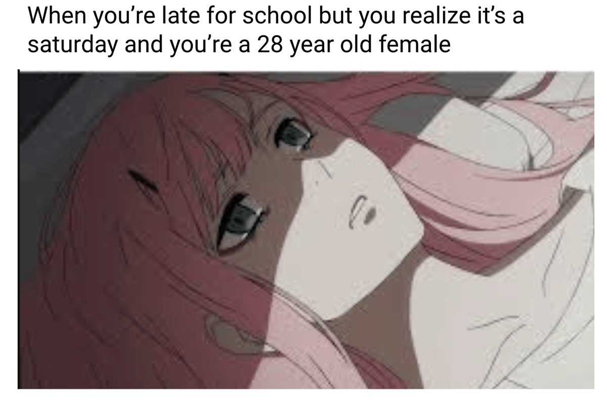 meme anime tentang kenyamanan