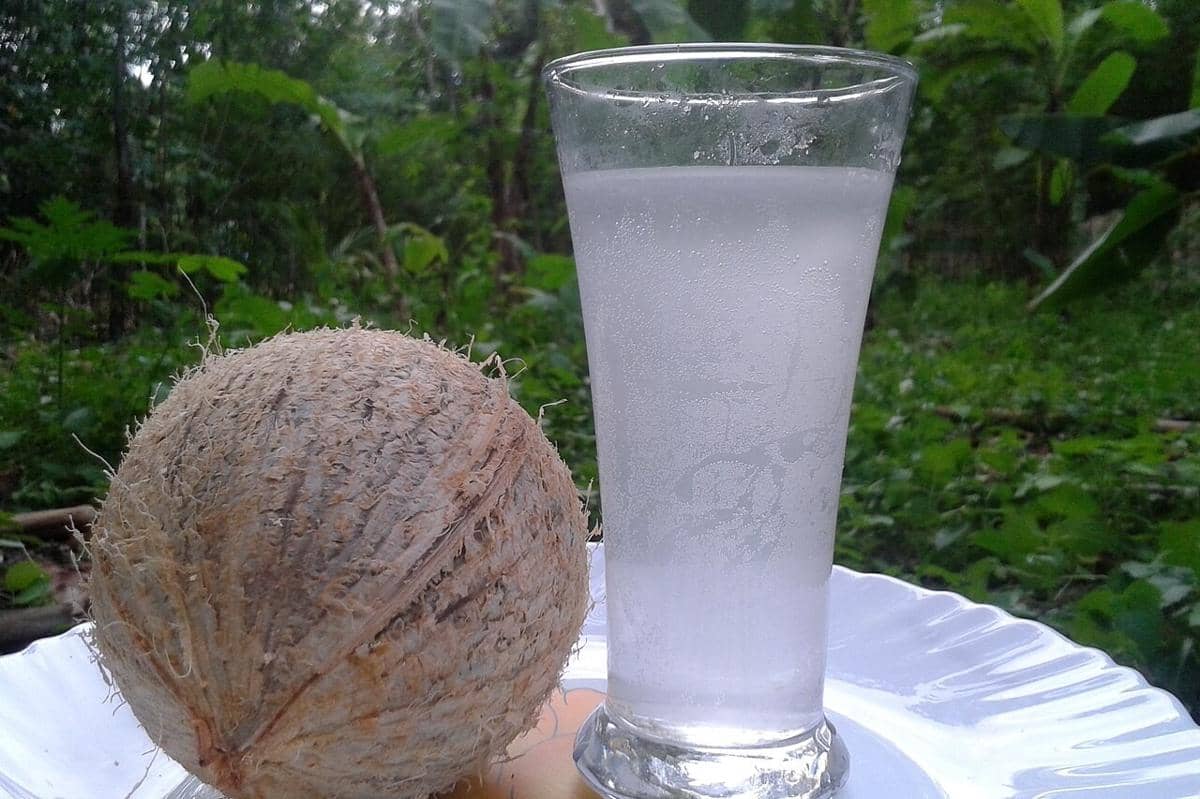 ilustrasi buah dan air kelapa