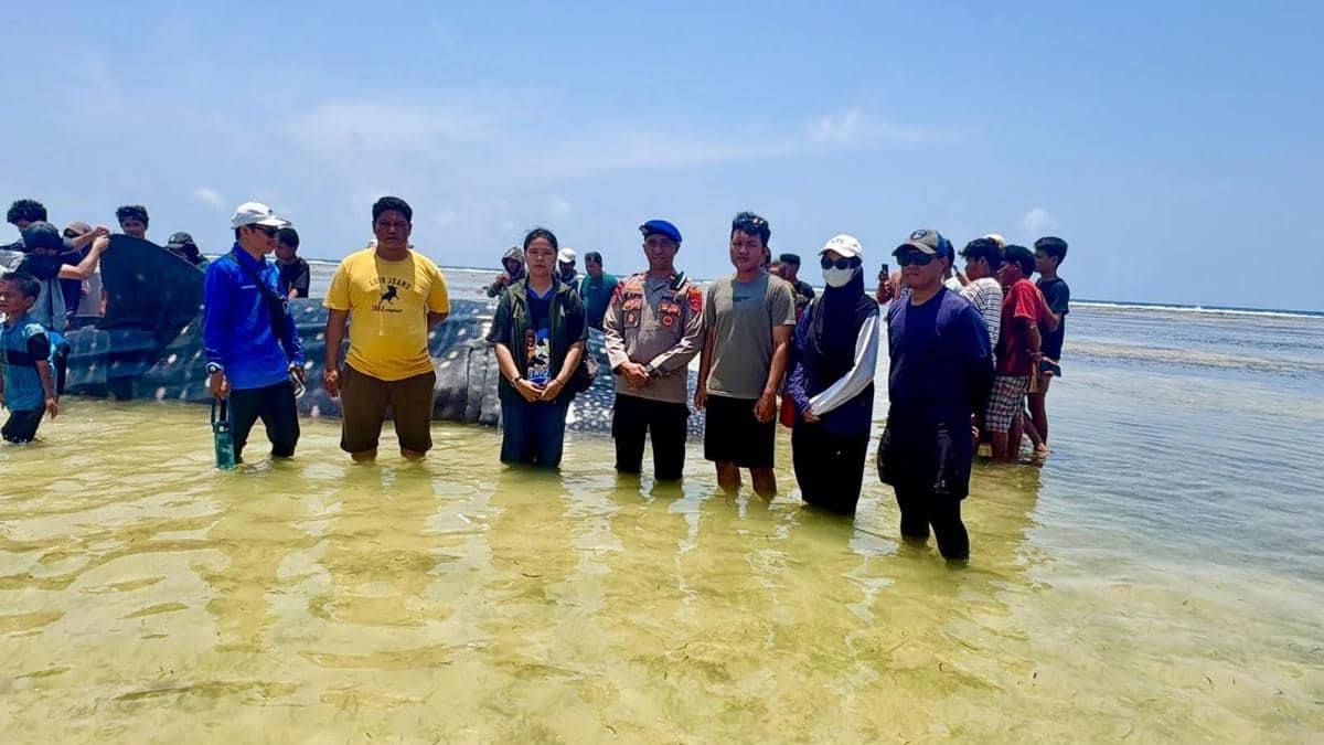 Seekor hiu tutul atau hiu paus ditemukan terdampar di pesisir pantai Dusun Nelayan One, Desa Matahora, Kecamatan Wangi-Wangi Selatan, Kabupa