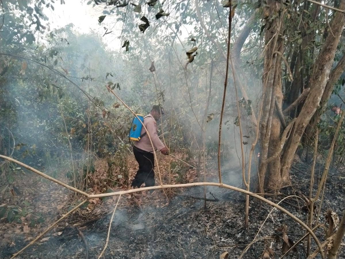 Lagi, Karhutla Kembali Melalap Kawasan Taman Nasional Way Kambas