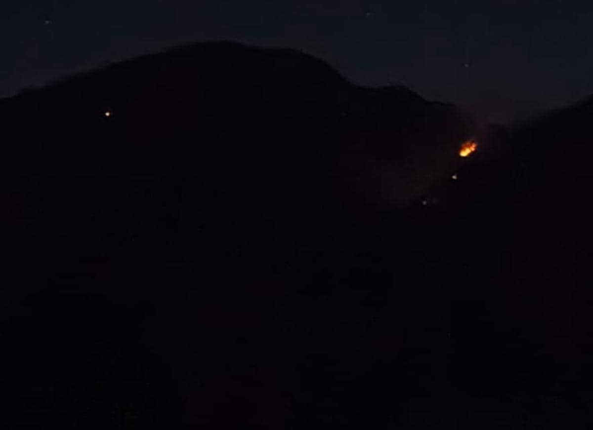 Karhutla Mengancam Pegunungan Jatim, 1.534 Hektare Terbakar