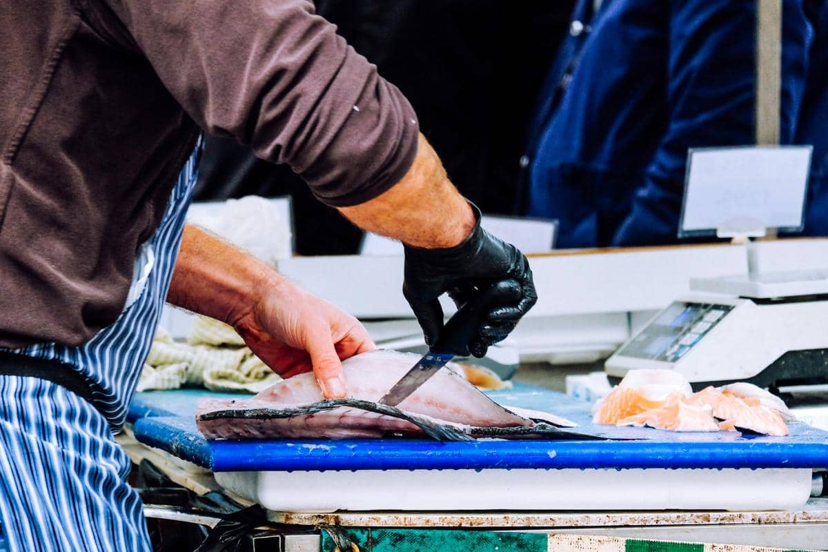 Ilustrasi ikan dover sole sebagai ikan bertubuh pipih untuk melengkapi informasi mengenai spesies ikan ini.