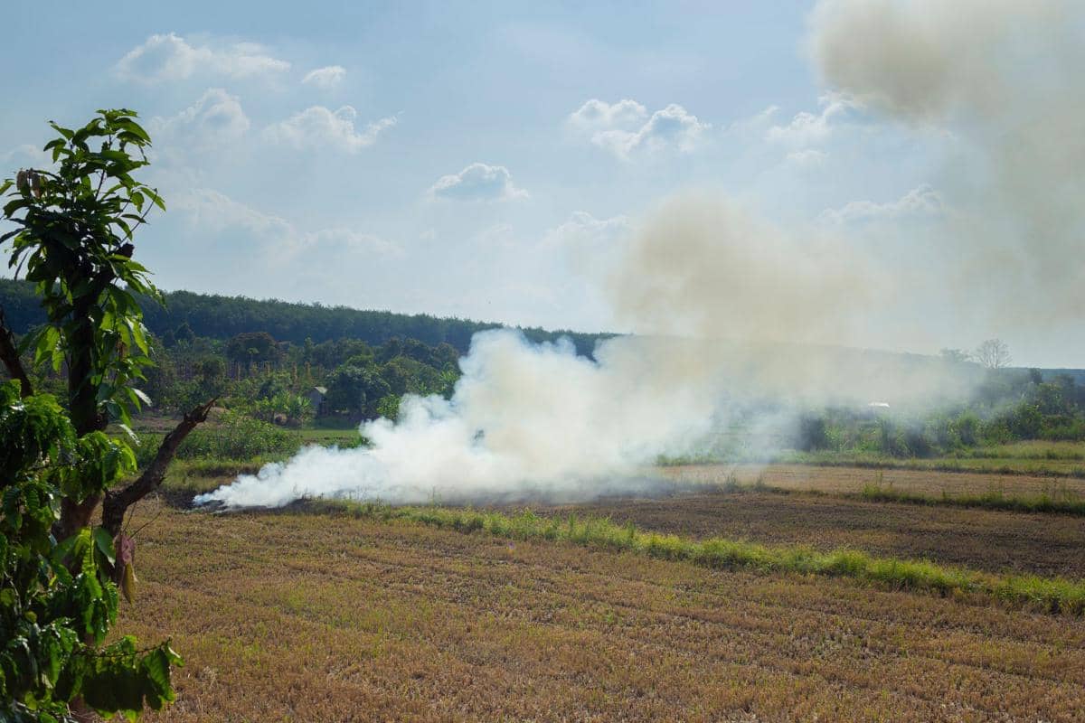 polusi asap akibat kebakaran lahan