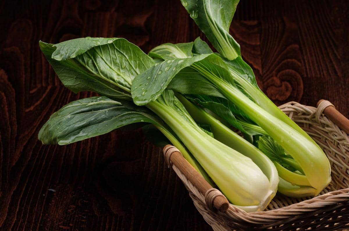Ilustrasi sayur pakcoy berwarna hijau dengan daun lebar dan batang putih yang tampak segar.