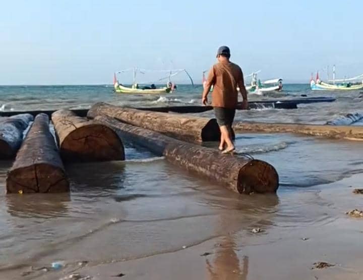 Ratusan Kayu Gelonggongan Terdampar di Bibir Pantai Sumenep