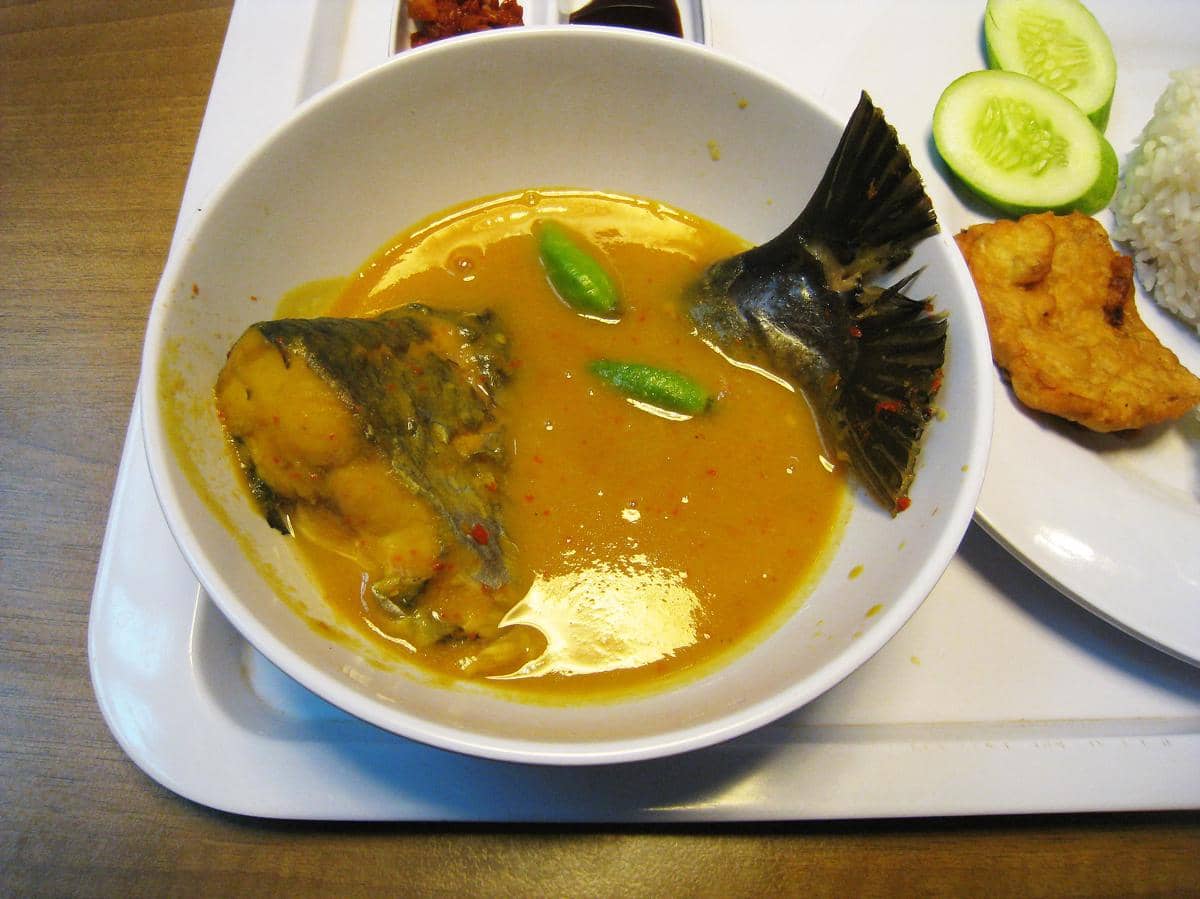 ilustrasi tempoyak ikan patin