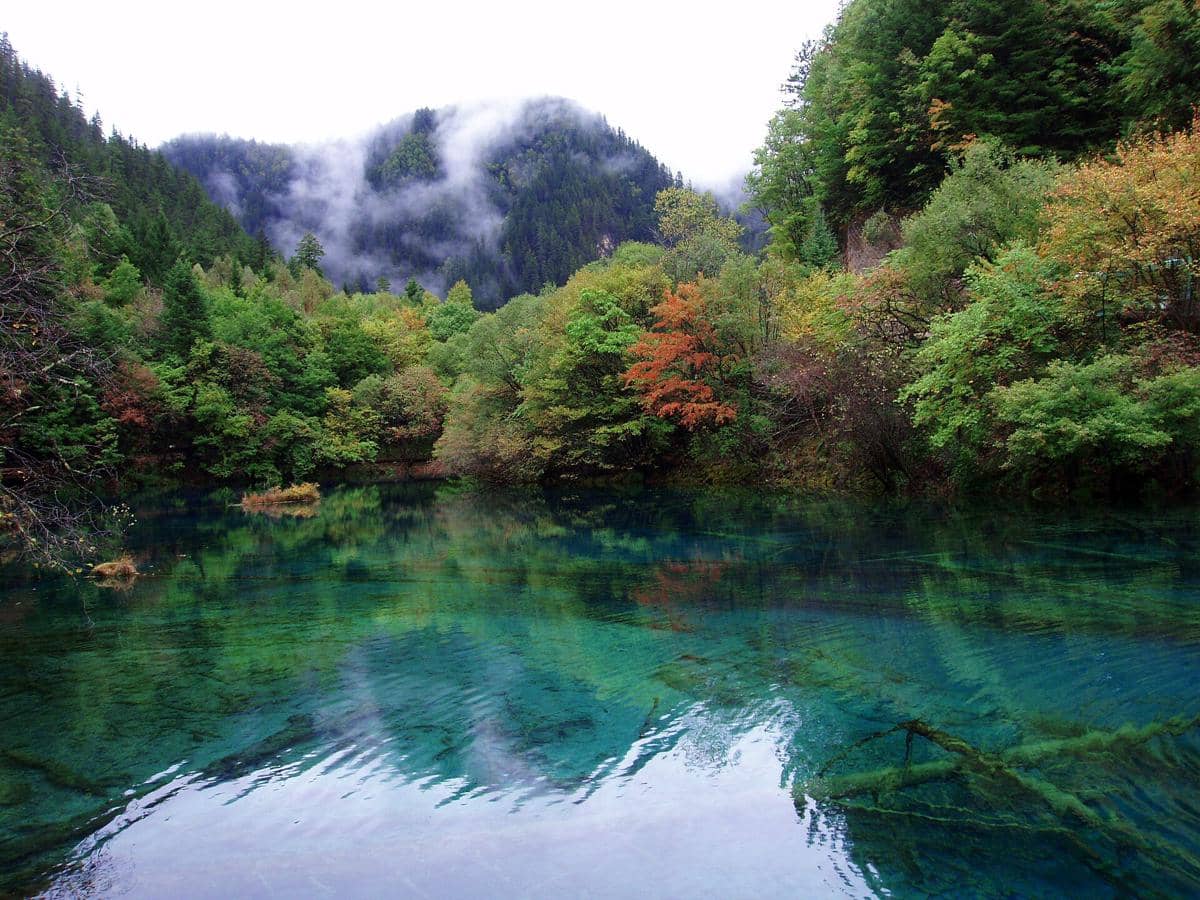 5 Tempat Wisata di Jiuzhaigou, Surga Alam Memukau di China