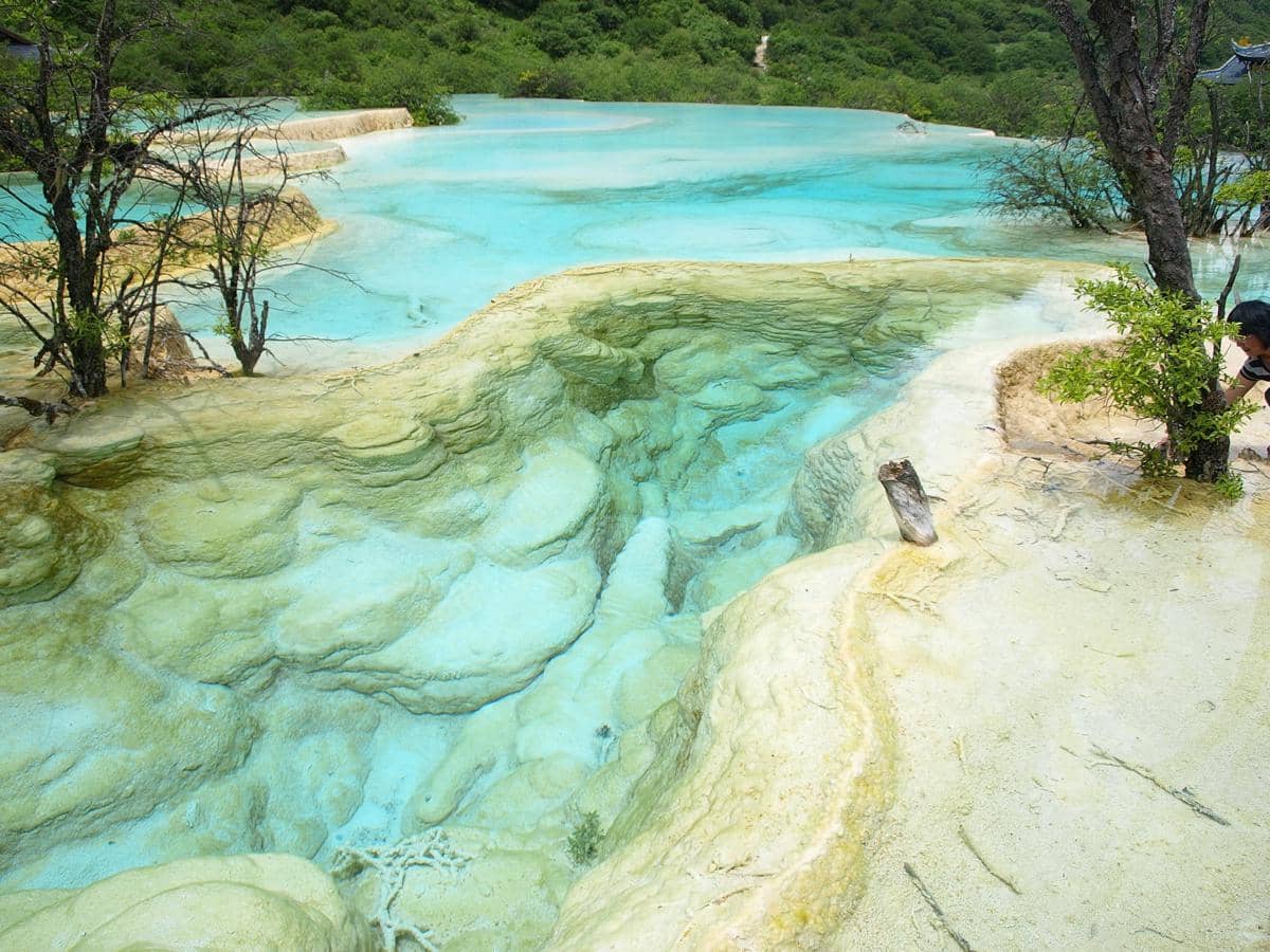 Five Color Pond