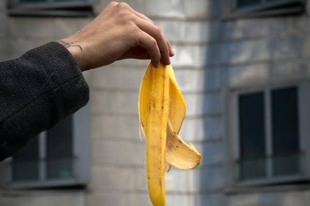 Cara Bikin Air Kulit Pisang, Nutrisi Tambahan untuk Tanaman