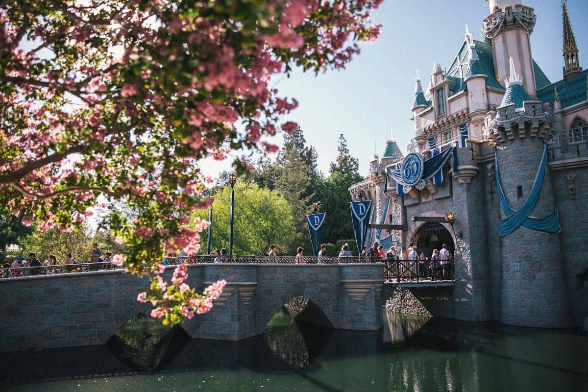 ilustrasi Disneyland