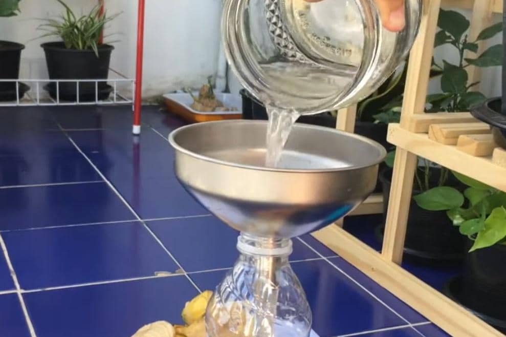 campuran air kulit pisang yang akan disaring