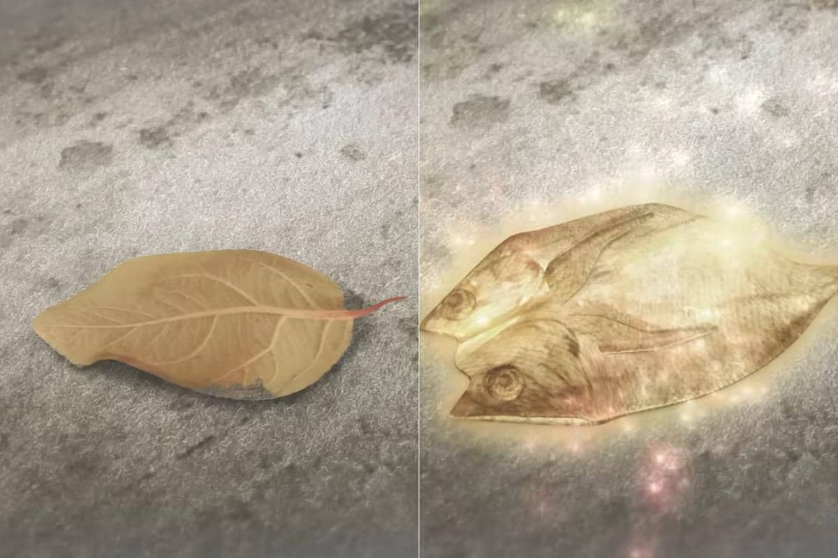 Gopal mengubah sehelai daun kering menjadi ikan asin