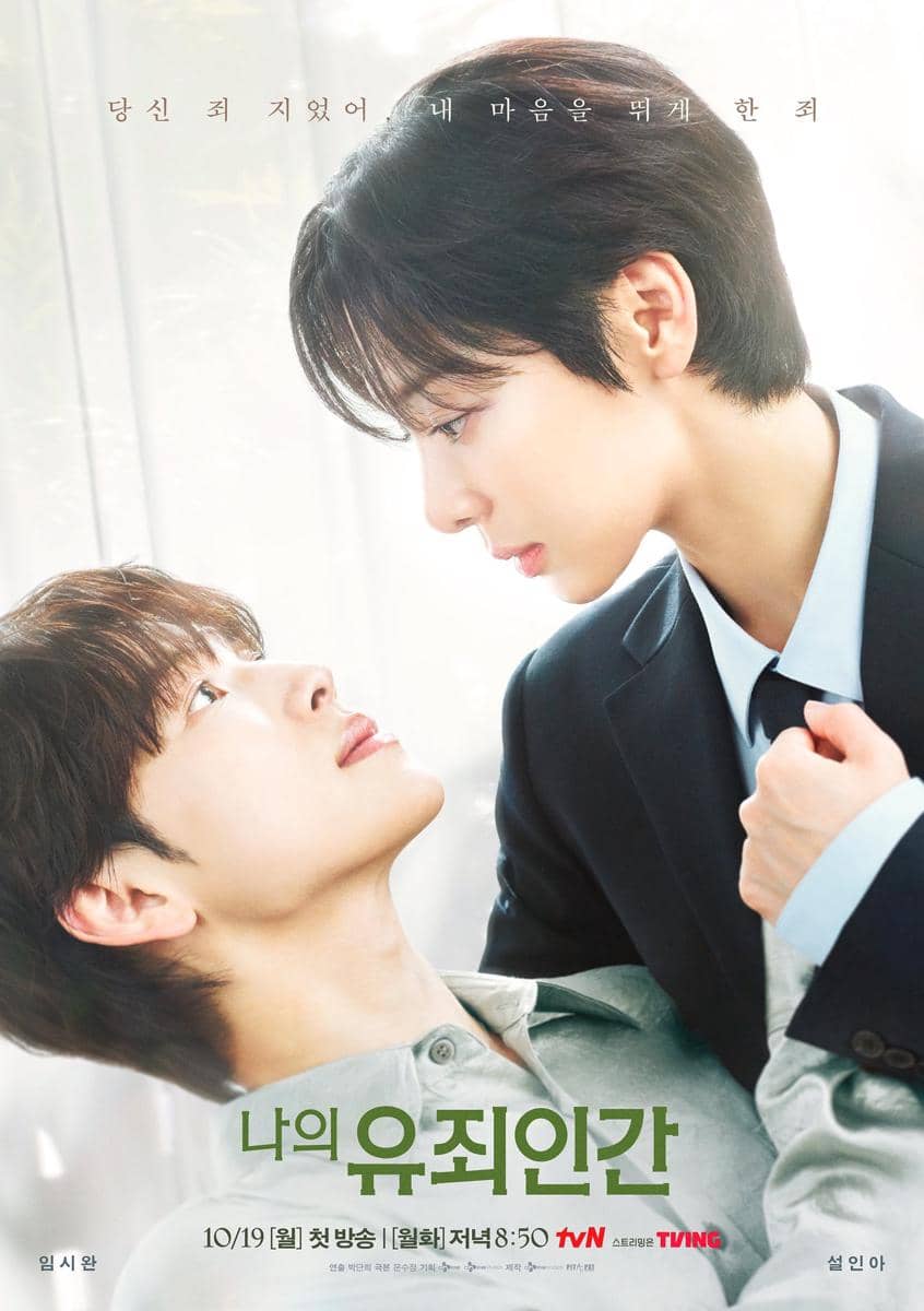 poster drama Korea Love in Disguise