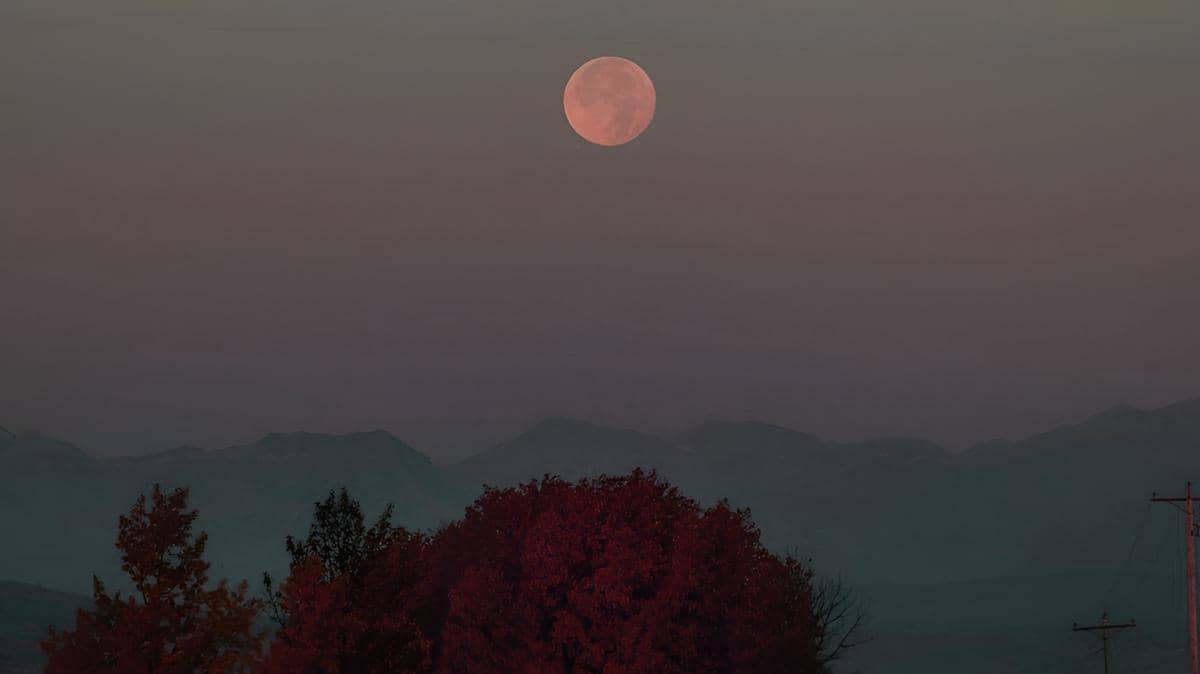 7 Keunikan Harvest Moon September 2026, Muncul Dekat Saturnus
