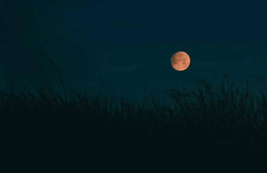 ilustrasi harvest moon